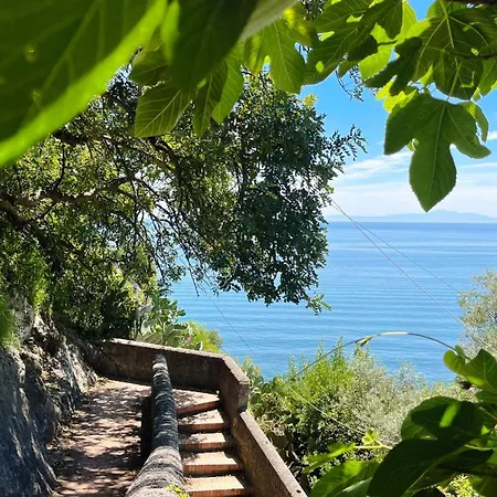 House On The Sea Amalfi Coast Vietri sul Mare